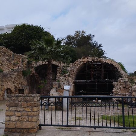 Appartement A Carthage Byrsa Exterior photo